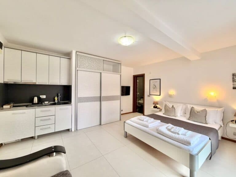 5 Comfort Studio sa velikom terasom