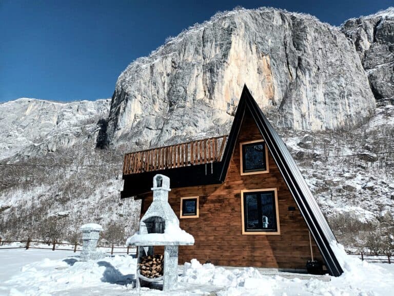 Komarnica Forest Owl