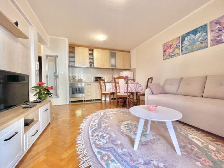 Comfort apartments near the beach